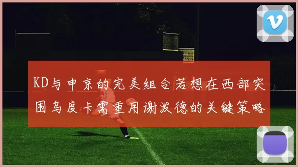 KD与申京的完美组合若想在西部突围乌度卡需重用谢泼德的关键策略